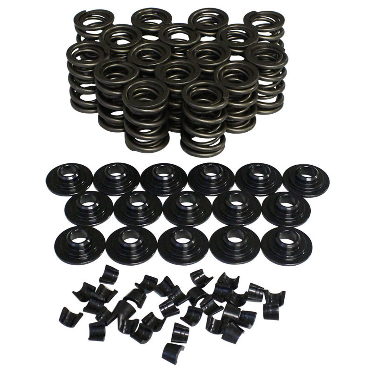 1.470 Dual Valve Spring Kit - w/Damper 98445-K12